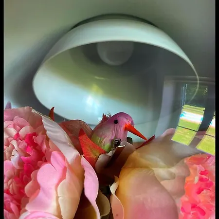 Les Maisons Du Bonheur