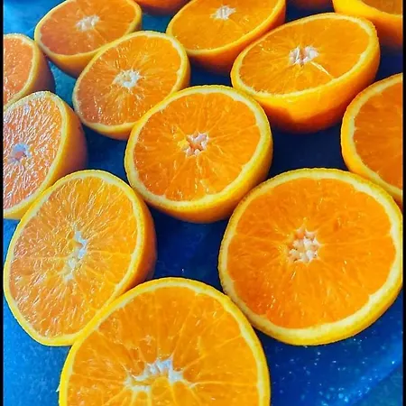 Les Maisons Du Bonheur Château-Garnier