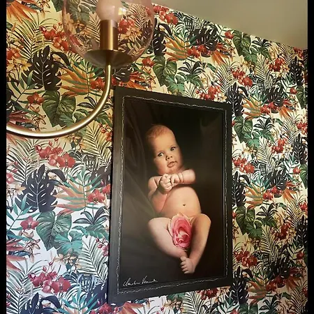 Les Maisons Du Bonheur B&B