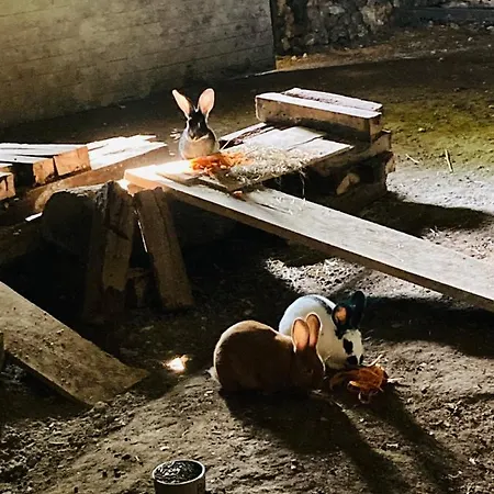 Les Maisons Du Bonheur B&B 3*