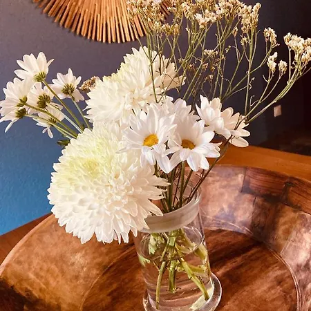 Les Maisons Du Bonheur Château-Garnier