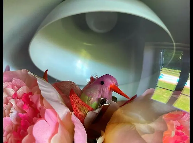 Les Maisons Du Bonheur