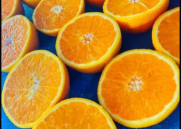 Les Maisons Du Bonheur Château-Garnier