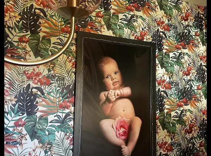 Les Maisons Du Bonheur Bed and Breakfast