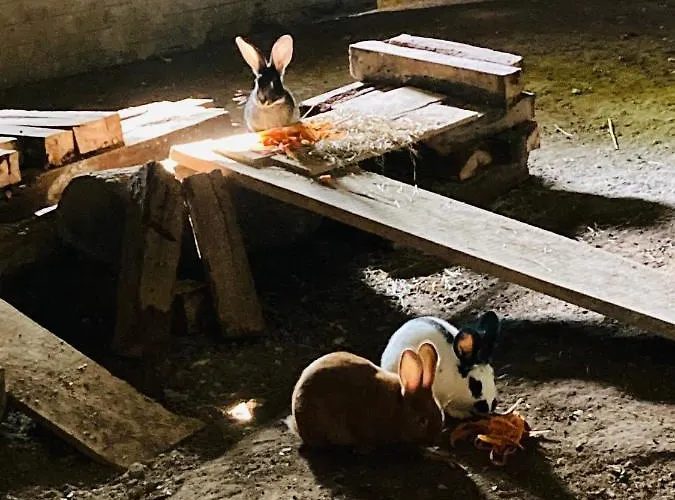 Les Maisons Du Bonheur Bed and Breakfast 3*