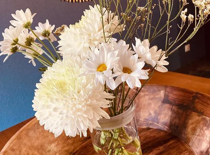 Les Maisons Du Bonheur Château-Garnier